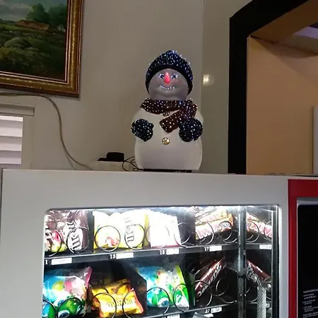 Hostel31 旅馆 塔林